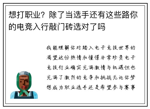 想打职业？除了当选手还有这些路你的电竞入行敲门砖选对了吗